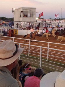 Cowboy Rodeo