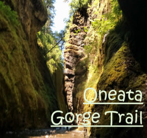 Oneota Gorge