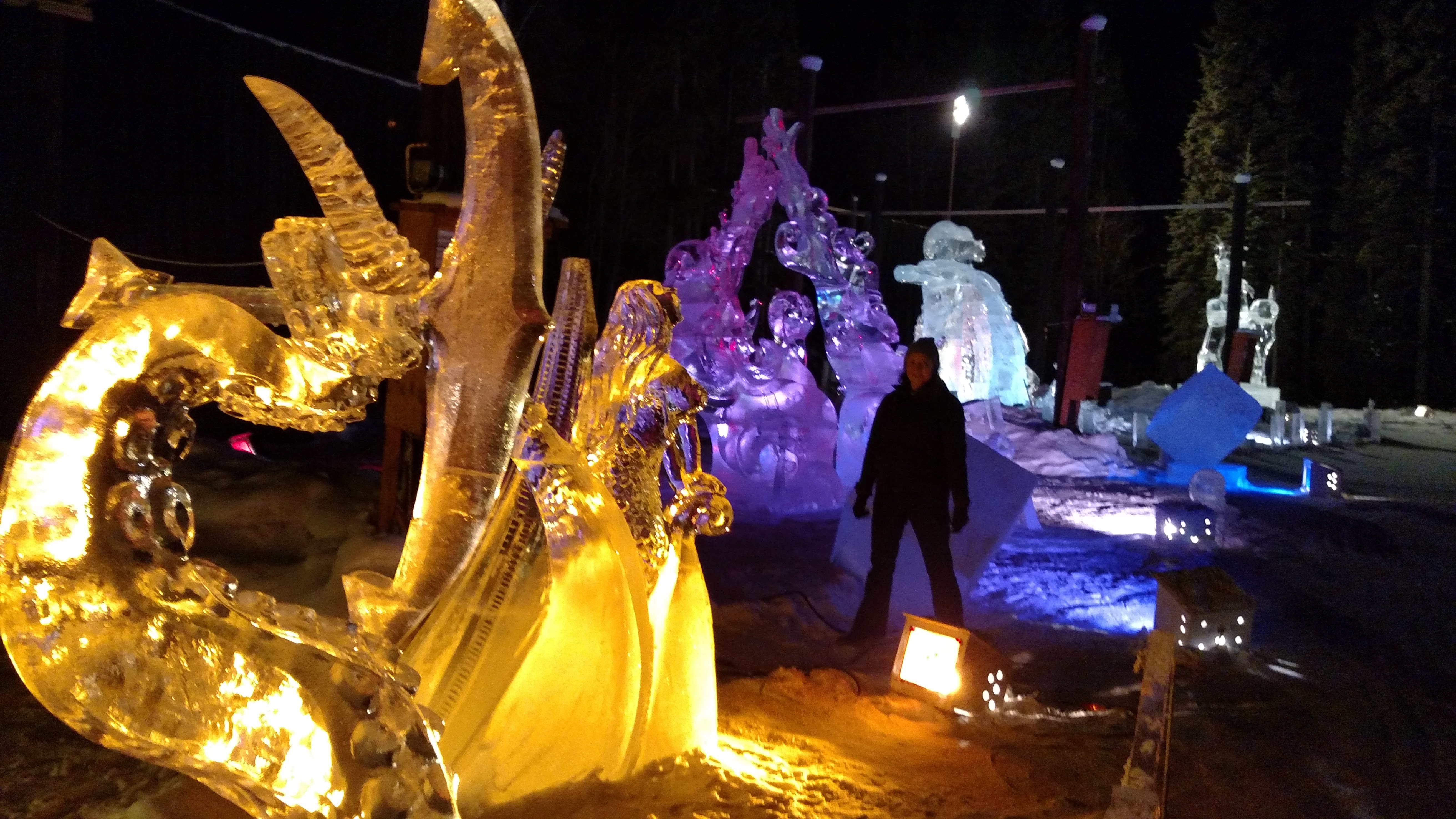 Fairbanks Ice Sculptures and Hot Springs Budget Wanderer